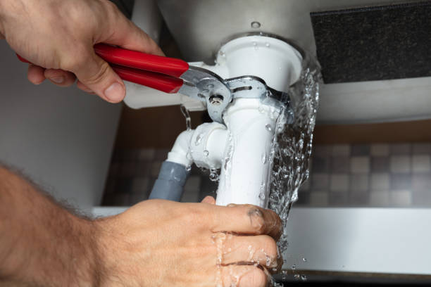 Best Flooded house restoration  in Carlstadt, NJ