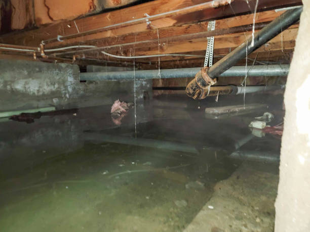 Best Water damage restoration mold remediation  in Carlstadt, NJ