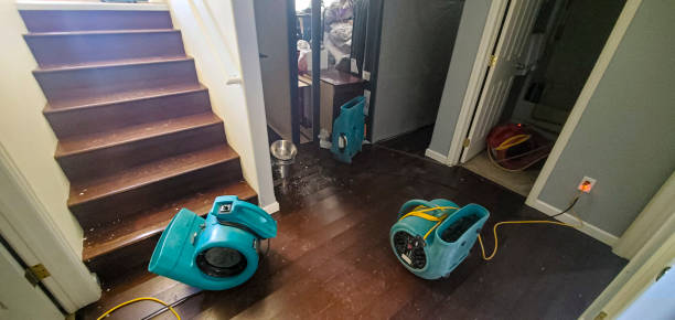 Best Carpet water damage restoration  in Carlstadt, NJ