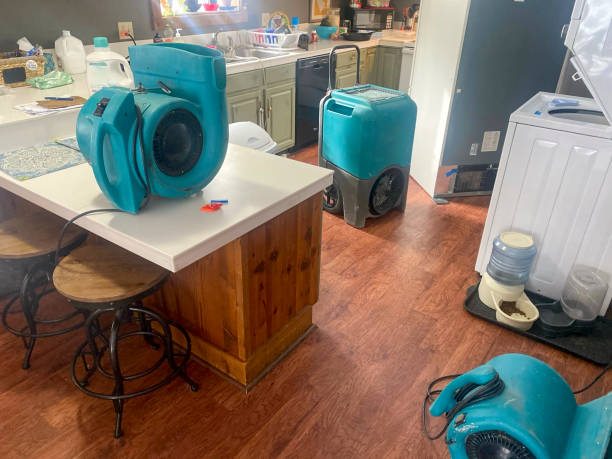 Best Sewage cleanup and water damage restoration  in Carlstadt, NJ