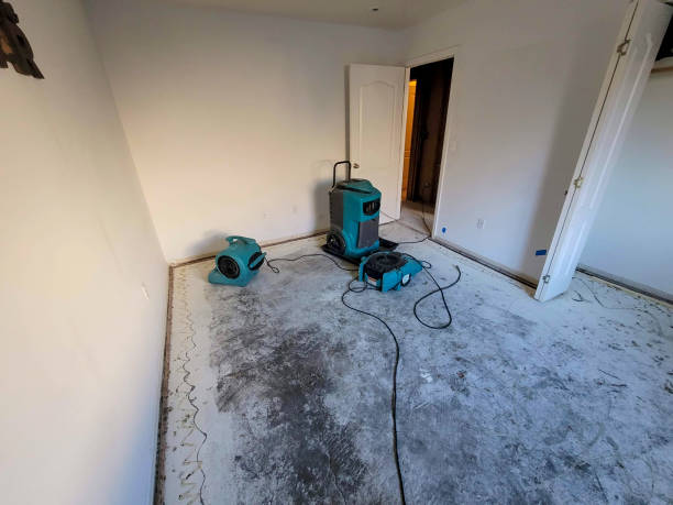 Best Ceiling water damage repair  in Carlstadt, NJ