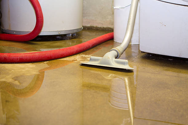 Best Water damage contractors near me  in Carlstadt, NJ