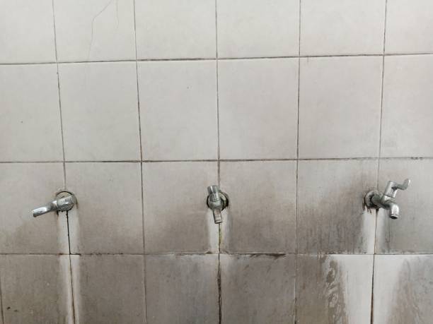 Best Water damage cleanup near me  in Carlstadt, NJ