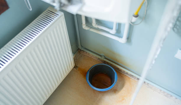Best Water damage restoration company  in Carlstadt, NJ