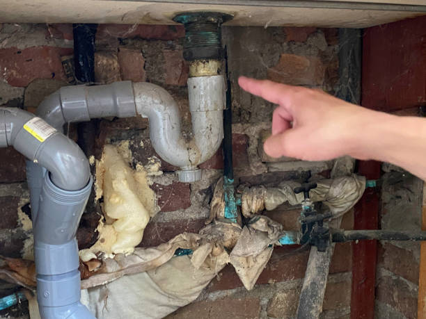 Best Flooded house restoration  in Carlstadt, NJ