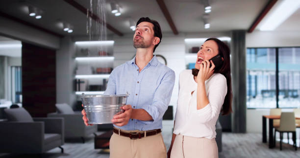 Best 24-hour water damage restoration  in Carlstadt, NJ